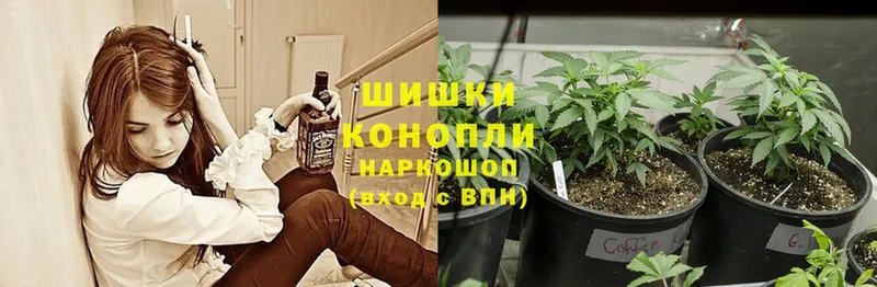 Канабис SATIVA & INDICA  где купить   Каменногорск 